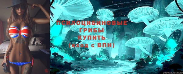 дмт Кукмор