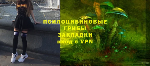 молекула духа Нязепетровск