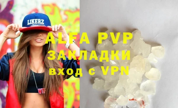 гидра Коряжма