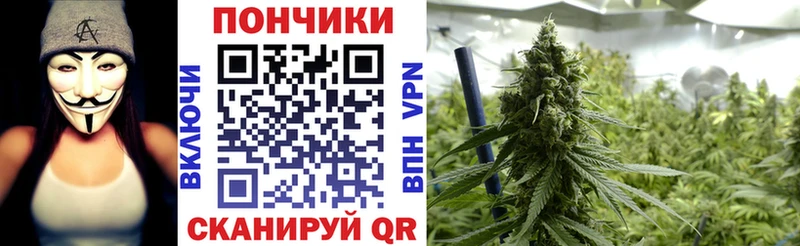 купить наркотики цена  Назарово  Каннабис VHQ 